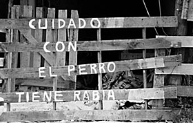 Cuidado con el perro, tiene rabia